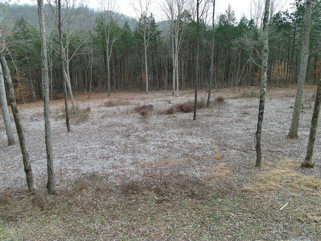 0 Bedford Lake Rd, Shelbyville, TN 37160