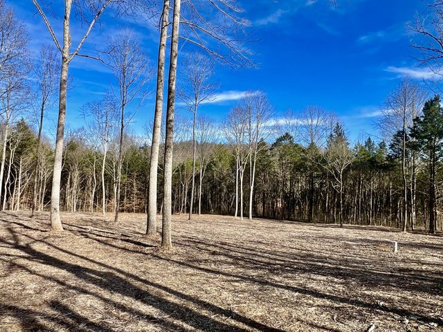 0 Bedford Lake Rd, Shelbyville, TN 37160