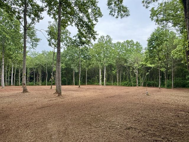 0 Bedford Lake Rd, Shelbyville, TN 37160