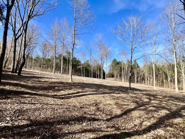 0 Bedford Lake Rd, Shelbyville, TN 37160