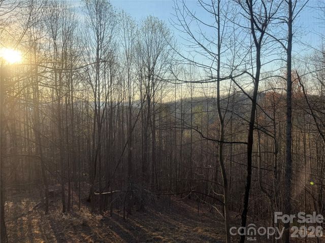 476 Double Eagle Drive, Nebo, NC 28761