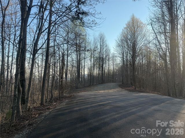 476 Double Eagle Drive, Nebo, NC 28761