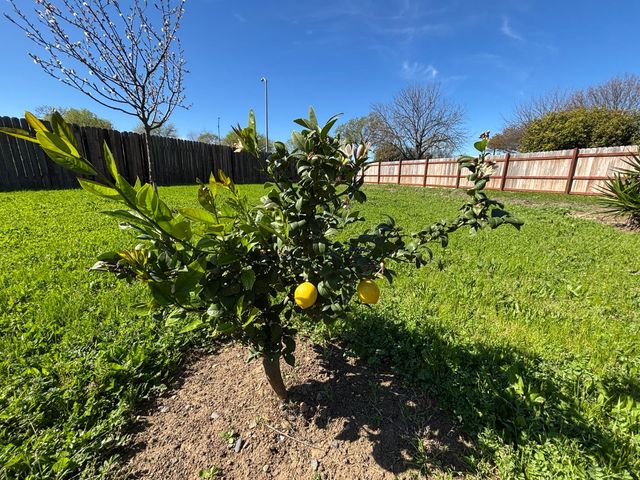 9328 Aizenberg Cir, Elk Grove, CA 95624