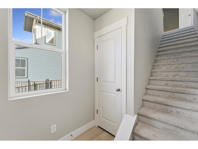 6794 School House Dr 204, Timnath, CO 80547