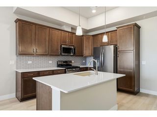6794 School House Dr 204, Timnath, CO 80547