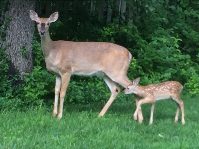 254 Arapahoe Circle E, Lake Quivira, KS 66217