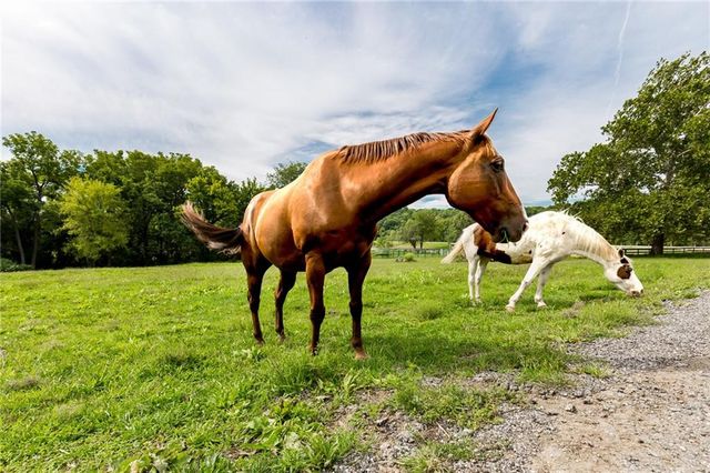 254 Arapahoe Circle E, Lake Quivira, KS 66217