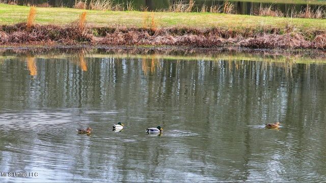 902 E College Street, Clinton, MS 39056