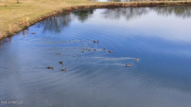 902 E College Street, Clinton, MS 39056