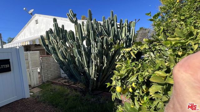 7725 Nestle Avenue, Reseda, CA 91335