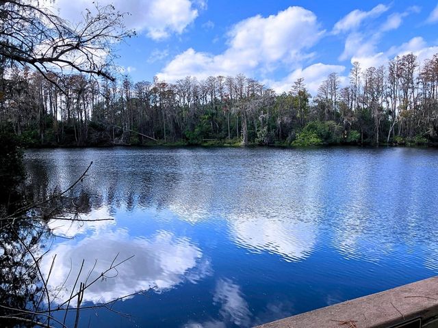 20921 HAULOVER COVE F14, Lutz, FL 33558