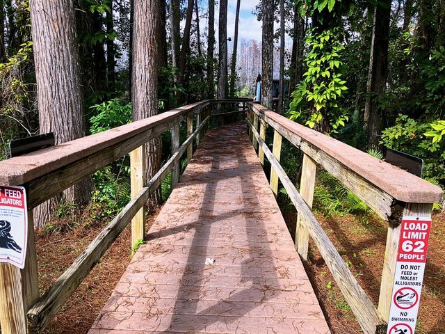 20921 HAULOVER COVE F14, Lutz, FL 33558