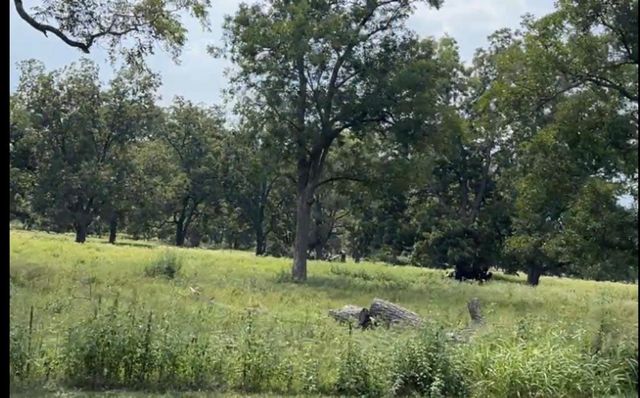 0327 Fm 2548, Midway, TX 75852