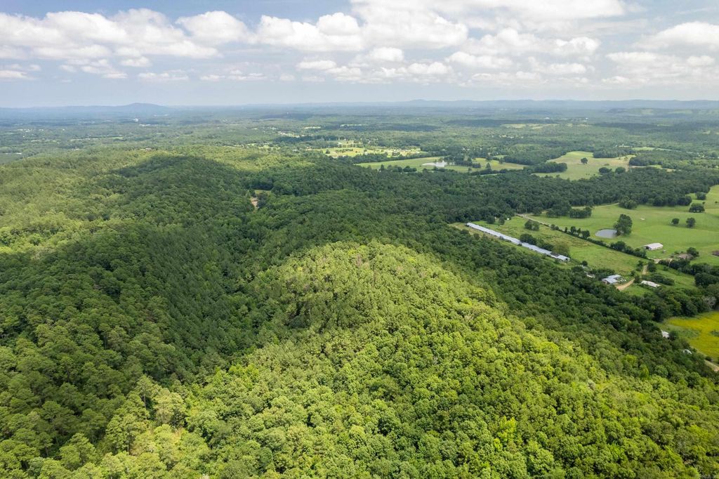Ragweed Valley Road, Royal, AR 71968