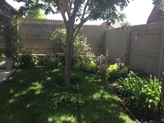 431 Eagle Drive, Ione, CA 95640