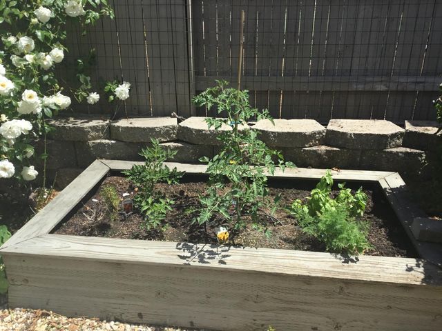 431 Eagle Drive, Ione, CA 95640