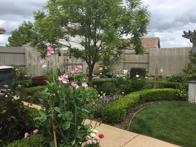 431 Eagle Drive, Ione, CA 95640