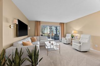 3000 Saint Albans Mill Road 111, Minnetonka, MN 55305