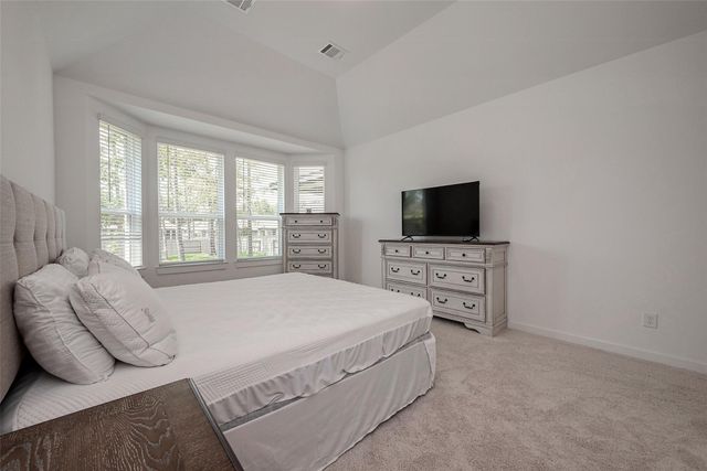 430 W Cascade Heights Drive, Montgomery, TX 77316