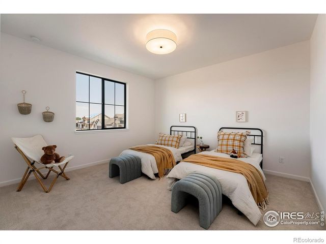 743 Little Leaf Drive, Windsor, CO 80550