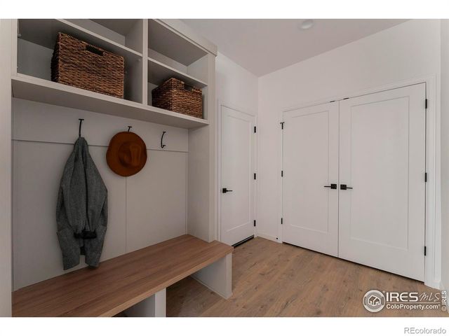 743 Little Leaf Drive, Windsor, CO 80550