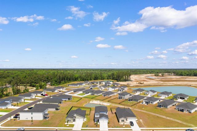 1209 Patchouli Dr., Longs, SC 29568