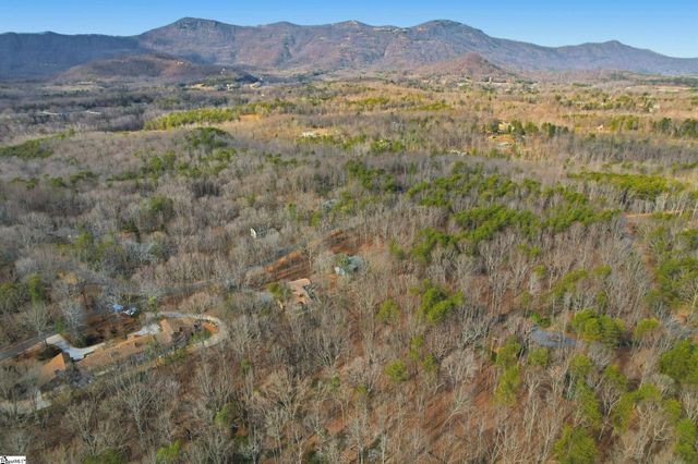 465 Mountain Laurel Drive, Columbus, NC 28722