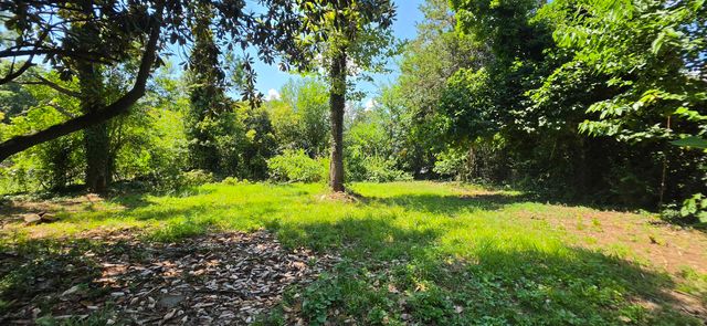 378 College Street, Spartanburg, SC 29303