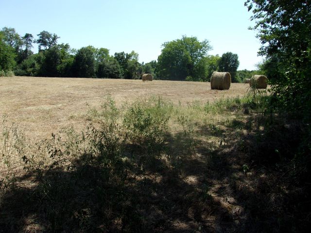 2846 County Road 2415, Pickton, TX 75471