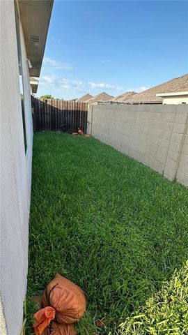 2809 Sabercat Avenue, Edinburg, TX 78542