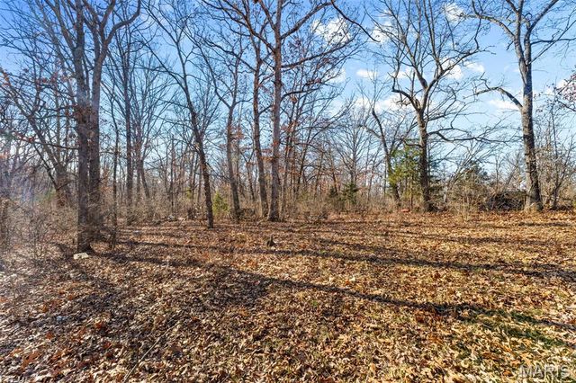 64 Mocking Bird Lane, Hawk Point, MO 63349