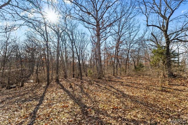 64 Mocking Bird Lane, Hawk Point, MO 63349