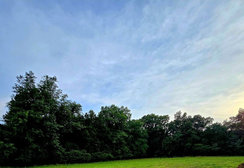0 Nashville Hwy, Lewisburg, TN 37091