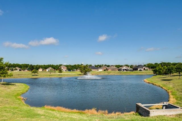25 Larkspur Drive, Fate, TX 75087