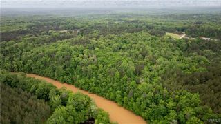 17719 Highway 43 N, Northport, AL 35475