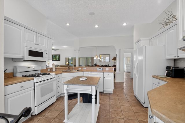 17336 SE 80TH TURNBULL COURT, The Villages, FL 32162