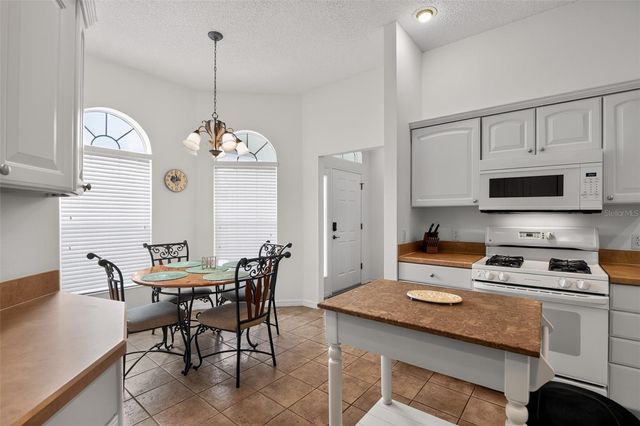 17336 SE 80TH TURNBULL COURT, The Villages, FL 32162