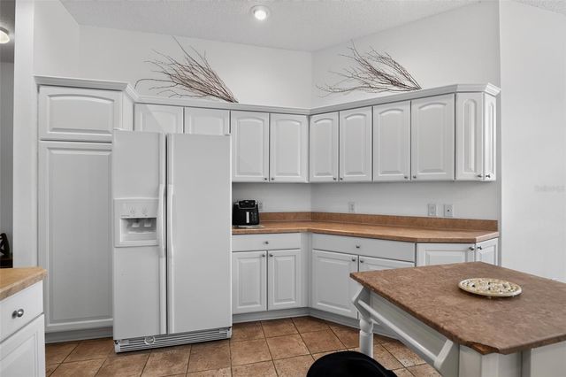 17336 SE 80TH TURNBULL COURT, The Villages, FL 32162