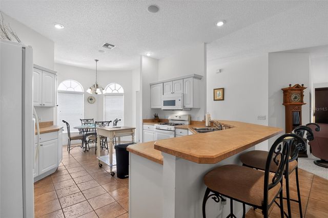 17336 SE 80TH TURNBULL COURT, The Villages, FL 32162