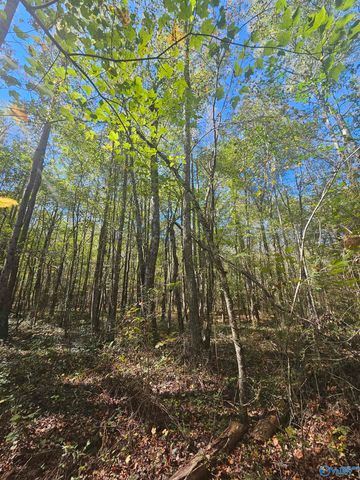 018 County Road 70, Sand Rock, AL 35984