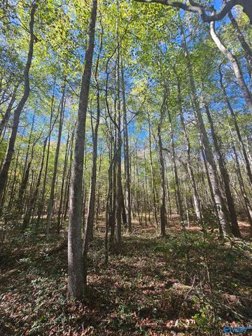 018 County Road 70, Sand Rock, AL 35984