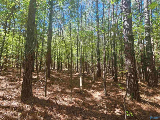 018 County Road 70, Sand Rock, AL 35984