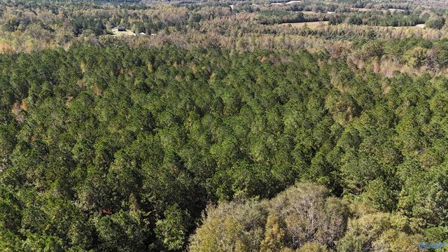 018 County Road 70, Sand Rock, AL 35984