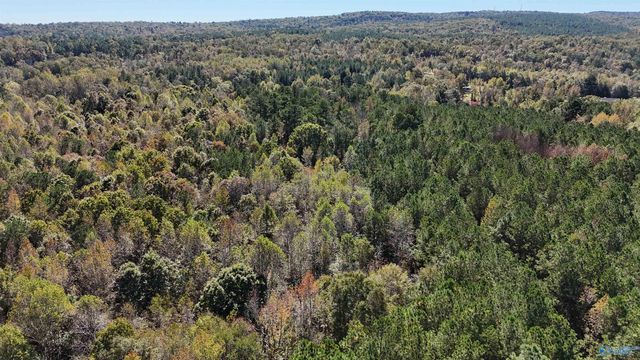 018 County Road 70, Sand Rock, AL 35984