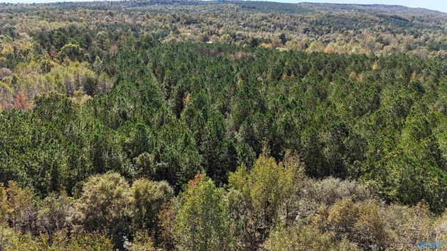 018 County Road 70, Sand Rock, AL 35984