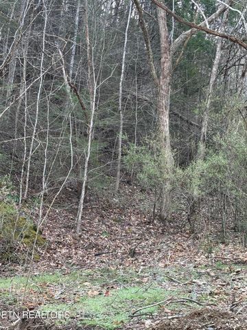 439 Caney Creek Rd, Pigeon Forge, TN 37863