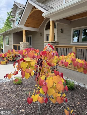 335 Northshore Drive, Blairsville, GA 30512