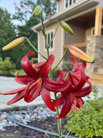 335 Northshore Drive, Blairsville, GA 30512