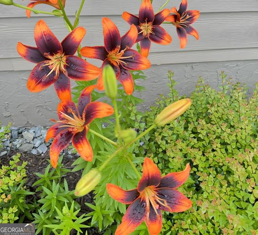 335 Northshore Drive, Blairsville, GA 30512