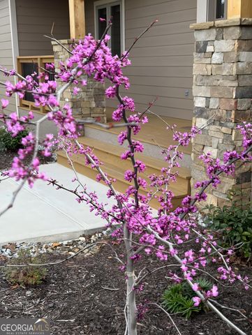 335 Northshore Drive, Blairsville, GA 30512